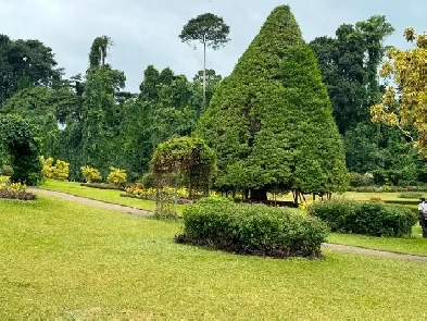 One bedroom basement apartment Image# 1