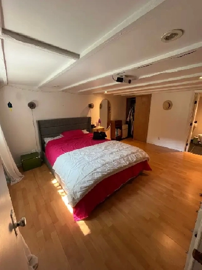 Chambre à louer dans Villeray Image# 1