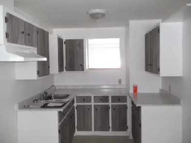 Logement 4.5 - Mont-Tremblant (St-Jovite) Image# 3