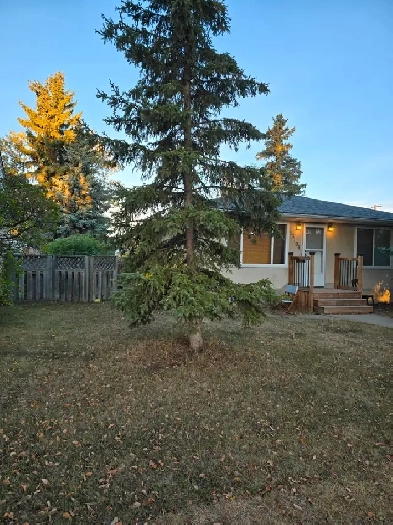 House for rent Image# 1