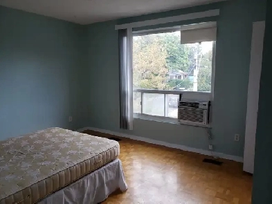 1 Bedroom Downtown Toronto for a Female Professional Worker Image# 1