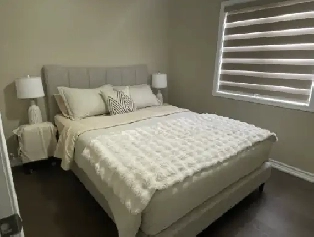 House Available for Rent in Mississauga Image# 2