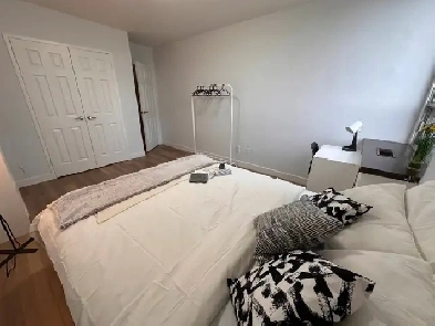 Room for Rent at Downtown Wellesley Image# 1