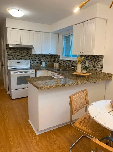 North York Detached House one bedroom for rent Image# 1