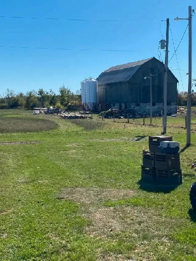 Farm for Sale Image# 3