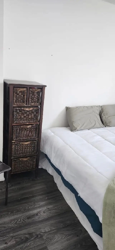 Beautiful Furnished One-Bedroom for Rent – Single Female Only Image# 1