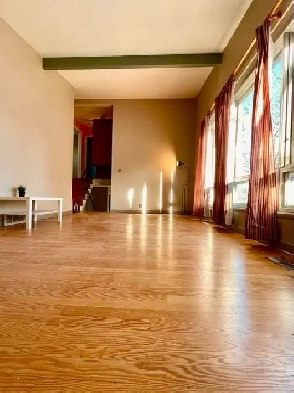 Large 5-bedroom house, easy access CU, AC, OU, available Nov 1st Image# 1