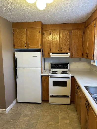 One Bedroom Apartment for rent Image# 6