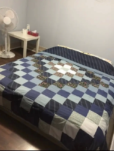 Weston and Eglinton | female only | December 1st | 700/Month Image# 1