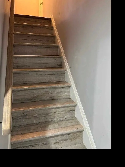 One bedroom basement for rent from 1 NOVEMBER. Image# 1