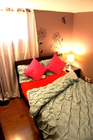 TOP TO BOTTOM RENOVATED LUXURIOUS ROOM FOR RENT (FEMALE) Image# 1