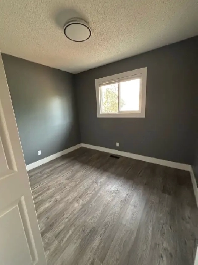 Room for Rent Image# 1