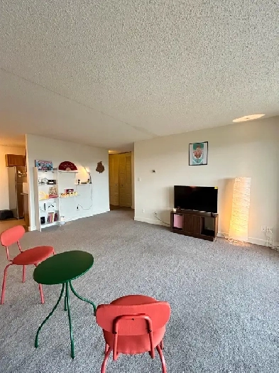 925 sq ft 1 Bedroom Apartment for Rent (Lease Takeover) Image# 1