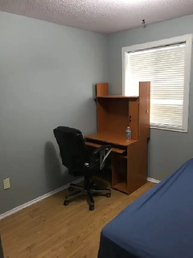 FURNISHED BEDROOM FOR RENT ALL INCLUDED/ LAUNDRY/POOL/ IMMEDIATE Image# 1