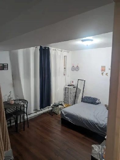 1 and 1/2 room near metro Image# 1