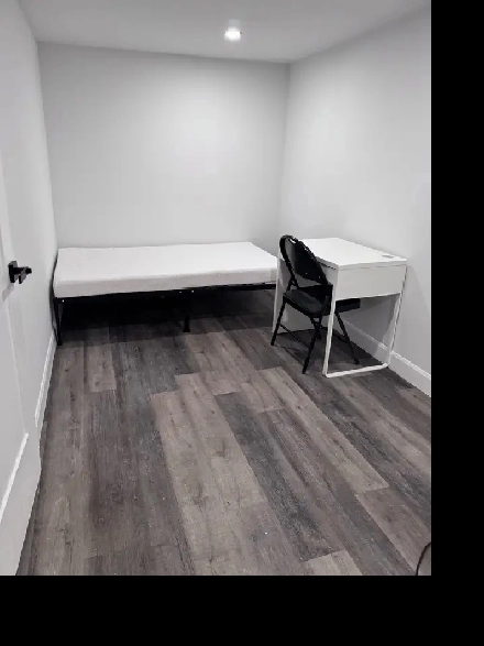 Private 1-Bedroom -  York University Heights Image# 1