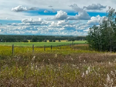 Acreage for sale Image# 17