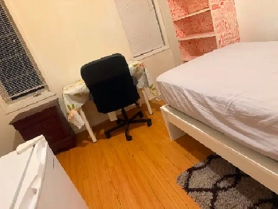 Room for rent at York University Village Image# 1