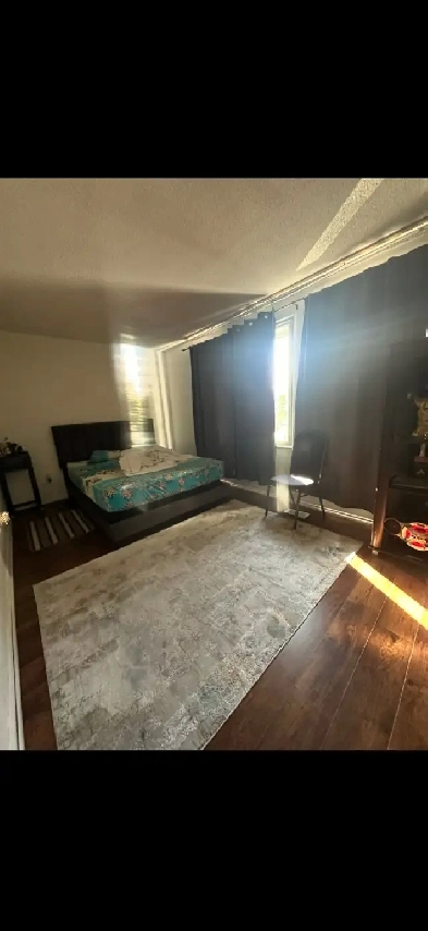 Beautiful large room near steeles and McLaughlin 4 rent October Image# 1