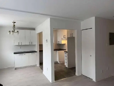 4 1/2 RÉNOVÉ DEMI SOUS-SOL LONGUEUIL Image# 1