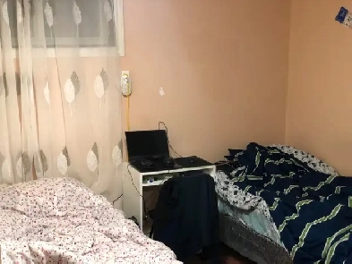 Newly renovated all inclusive shared room for rent Image# 1