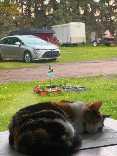 Safe secure private pking or storage at my farm in the city Image# 2