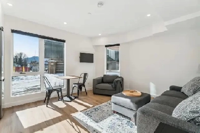 Suite for Rent Image# 6