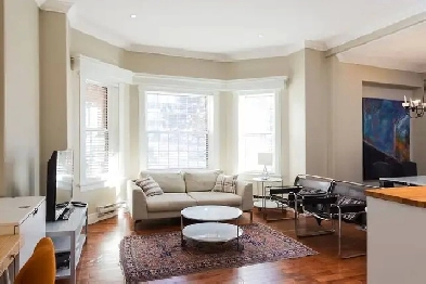 Downtown Toronto Furnished Apartment for Sublet - December 1st Image# 1