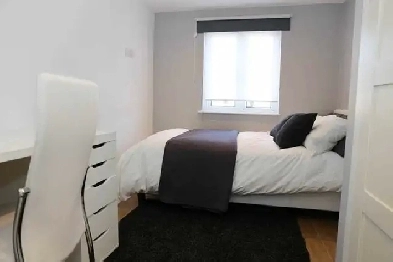 Metro du college chambre a louer Image# 1