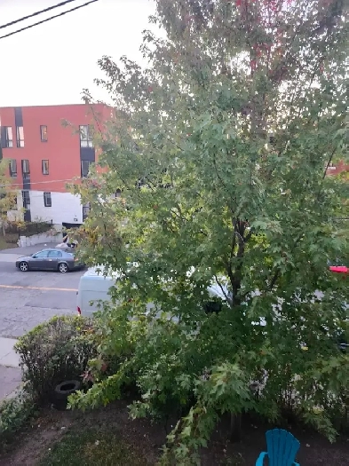 A Louer Chambre pour Étudiants  calmes Image# 1