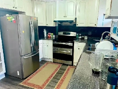 Master bedroom to share on main floor for a girl only in Malton Image# 1