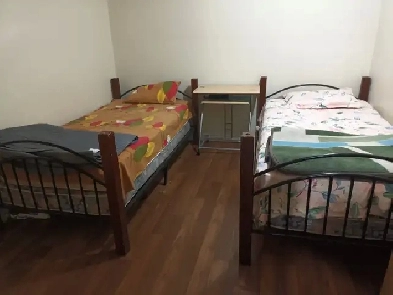 Sharing room for rent Scarborough Image# 1