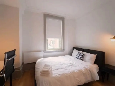 The Perfect student accomodation for you in downtown montreal Image# 1