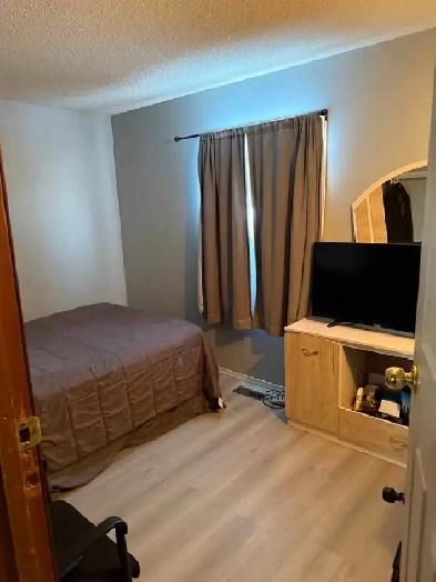 Room for rent in garden groove area Image# 1