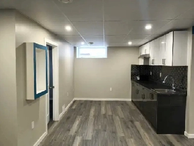 1 BHK Fully Furnished Basement with Separate Entrance Image# 1