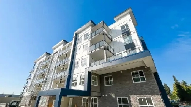 Brand new Appartments For rent Image# 4