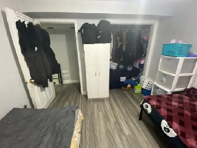 One Bedroom Basement For Rent Closed to Sheridan (Davis) Image# 1