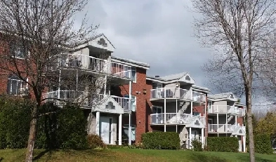 4½  à louer, secteur Lebourgneuf, novembre et décembre 2025 Image# 5