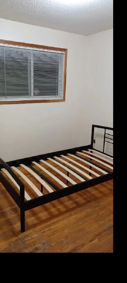 Room close to U of M Image# 4