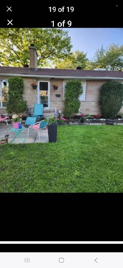 Room For Rent Near Algonquin College Image# 1