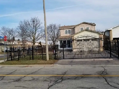 Room for Rent in Scarborough Image# 1