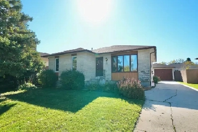 4 BEDROOM FAMILY HOME IN MISSION GARDENS Image# 5