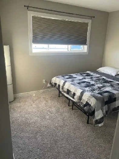 Large Furnished  Bright Bedroom for $750 Image# 1