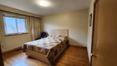 RENT - ROOMS - MAIN LEVEL / BASEMENT in MALTON NEARWESTWOOD MALL Image# 10