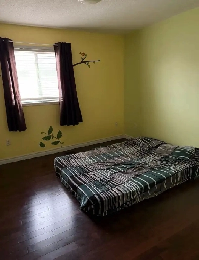 room rent Image# 1