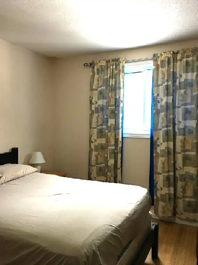 Room for Rent - Morningside & Kingsto Image# 1