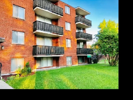 Fantastic 1 bed apartment in Kensington near SAIT, LRT & UofC Image# 1