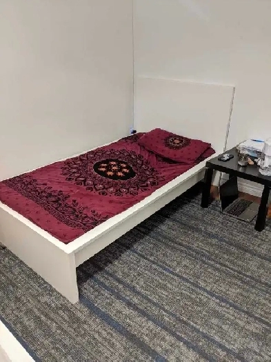 Room rent for 1 girl in basement Image# 1