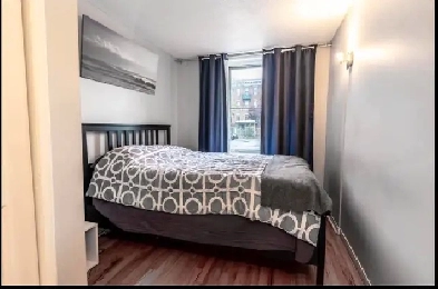1bedroom   1bathroom downtown apartment Image# 1