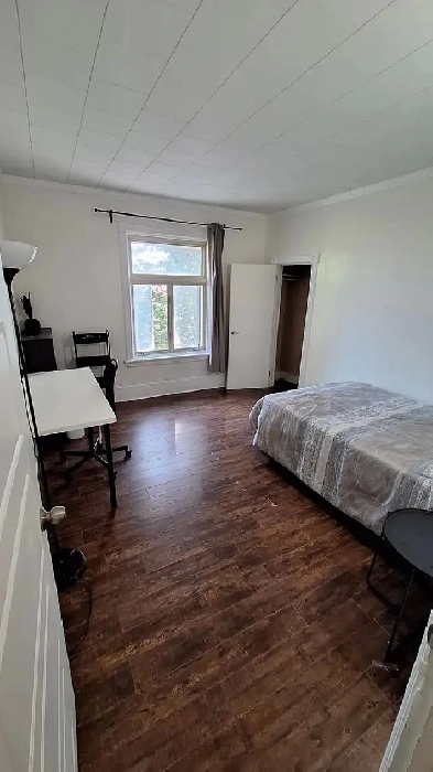 Sandy Hill (Sweetland Furnished All inclusive price Female only Image# 1